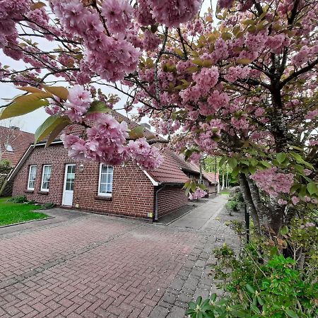 Ebbe Appartement Norden Buitenkant foto