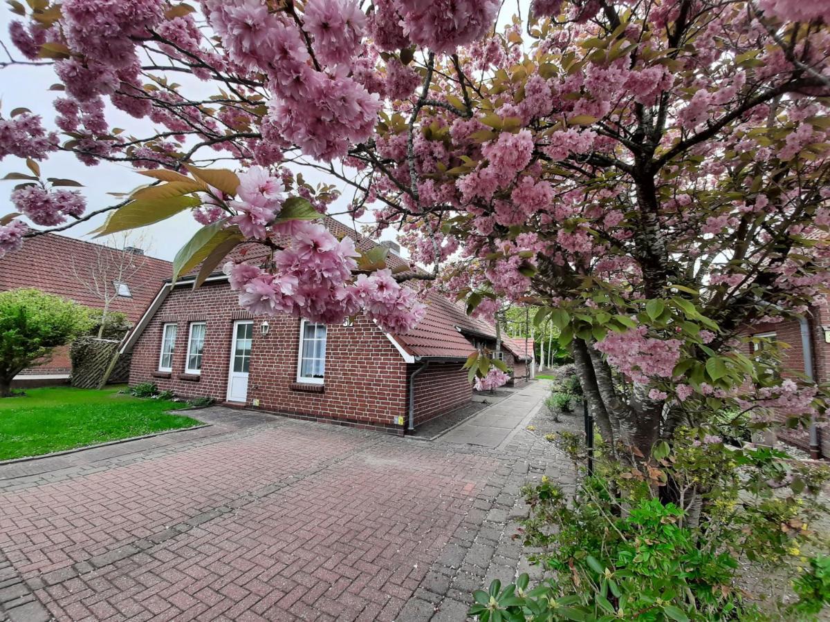 Ebbe Appartement Norden Buitenkant foto